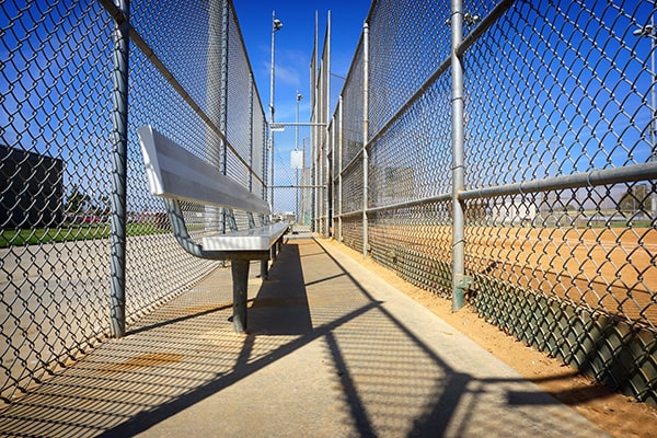 Chain Link